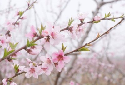 ​教师年度考核个人述职报告