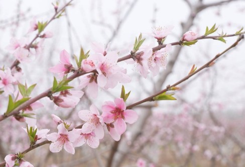 1710919076293562.png image.png