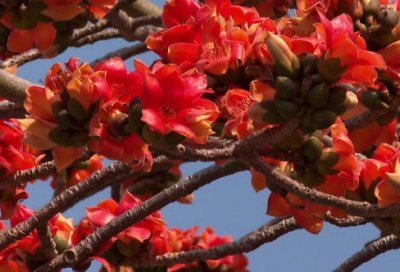 ​金工实习报告