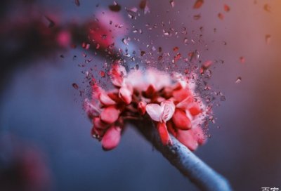 ​领导述职报告