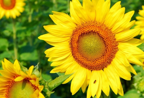 1710925640133484.png image.png