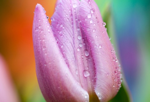 1710921263241408.png image.png