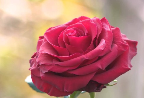 1710920758567244.png image.png