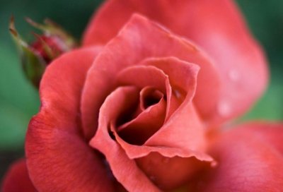 ​士兵思想报告