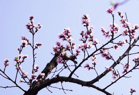 1710918739144672.png image.png