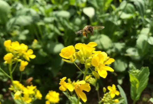 1710915878323254.png image.png