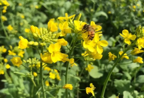 1710916215848414.png image.png