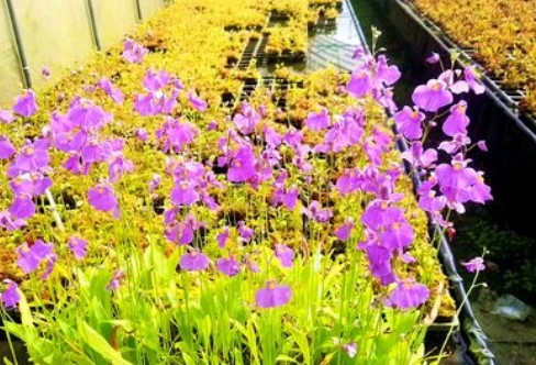 1710917898421668.png image.png