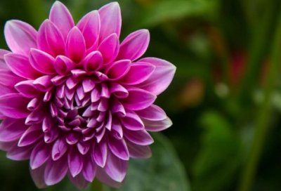 ​试用期员工转正述职报告