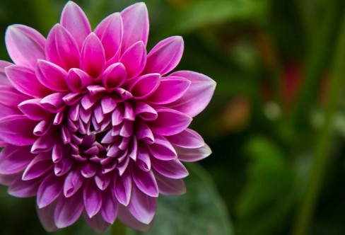 1710929174645950.png image.png