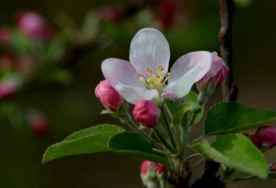 ​思想纪律作风整顿自查报告