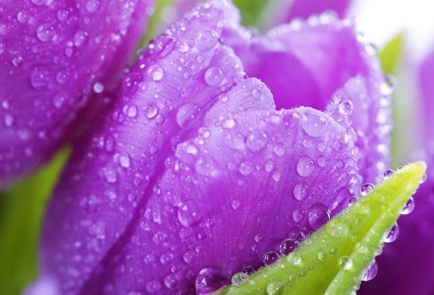 1710934559218343.png image.png