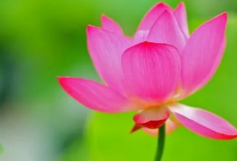 1710934222728441.png image.png