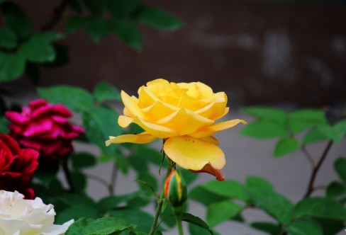 1710928669859000.png image.png