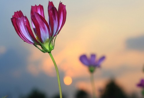 1710929005565781.png image.png