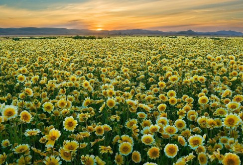 1710940952353678.png image.png