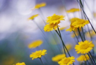 ​自动化生产实习报告