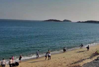 ​鹅毛大雪造句_80字用鹅毛大雪造句