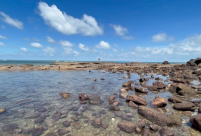 ​吃饭时造句_80字用吃饭时造句