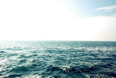 ​尖利造句_70字用尖利造句