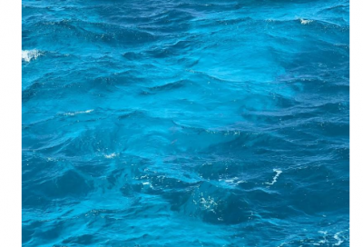 ​按时造句_四年级用按时造句