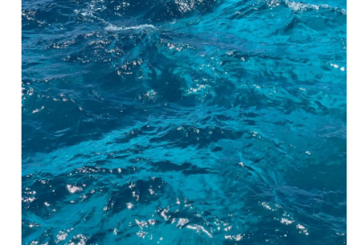 ​黯然失色造句_五年级用黯然失色造句