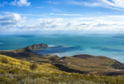 ​各种各样造句_三年级用各种各样造句