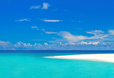 ​不怕造句_二年级用不怕造句