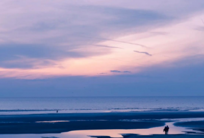 ​露出造句_二年级用露出造句