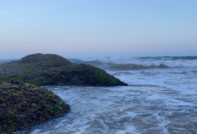 ​既也造句_二年级用既也造句