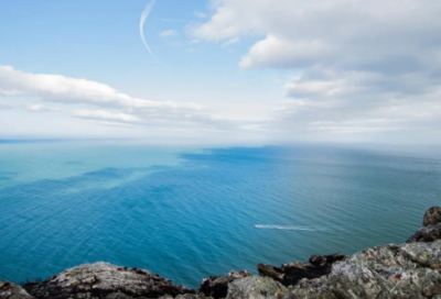 ​成群结队造句_三年级用成群结队造句