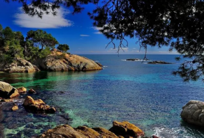 ​海洋造句_一年级用海洋造句