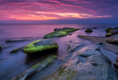 ​呼呼造句_二年级用呼呼造句