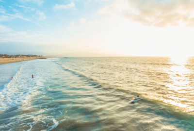 ​观察造句_一年级用观察造句