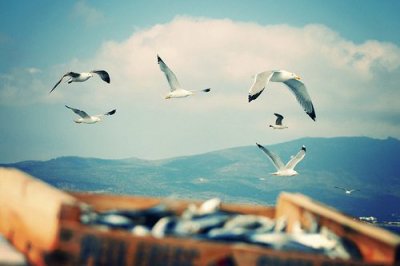 ​用有了造句63句