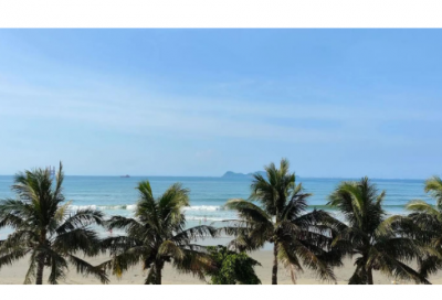 ​惊慌失措造句_四年级用惊慌失措造句