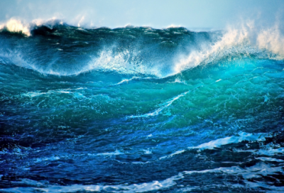 ​肚子饿造句_三年级用肚子饿造句