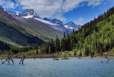 ​鹅毛大雪造句_二年级用鹅毛大雪造句