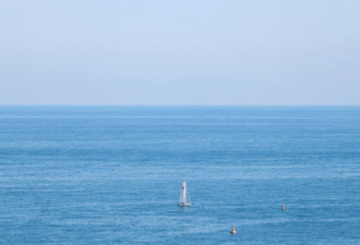 ​凤凰造句_高三用凤凰造句