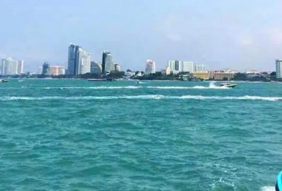 ​纷纷造句_三年级用纷纷造句