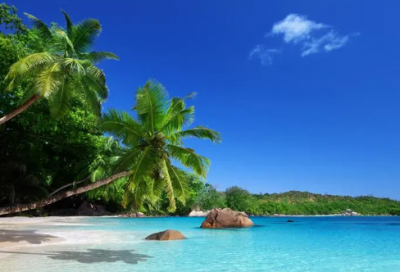 ​吃下去造句_50字用吃下去造句