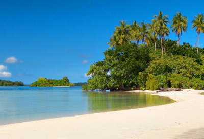 ​忽然造句_一年级用忽然造句