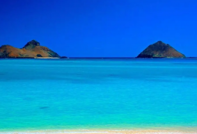 ​亮相造句_六年级用亮相造句