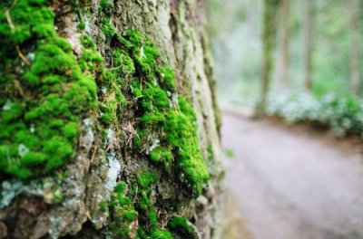 ​三年级用像字造句大全100句