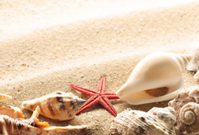 ​隐晦是什么意思45句