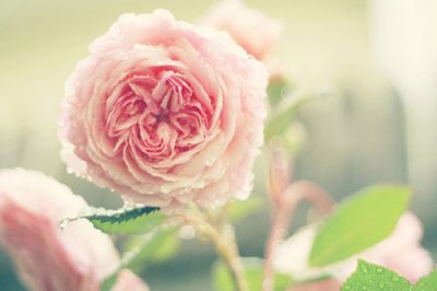 ​抛砖引玉造句28句