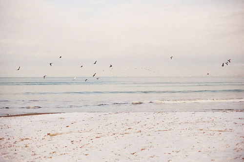 众志成城造句21句