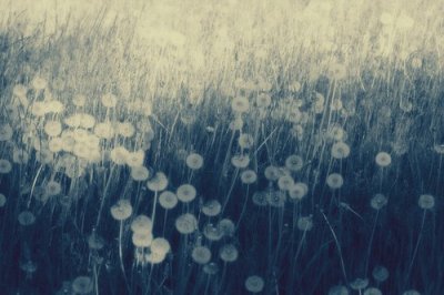 ​作用造句16句