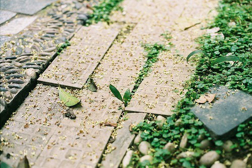 细声细气造句大全20句