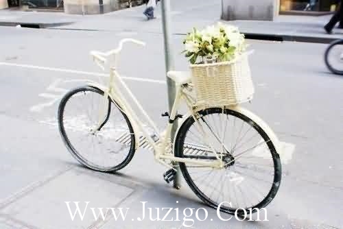 不是也不是造句大全20句